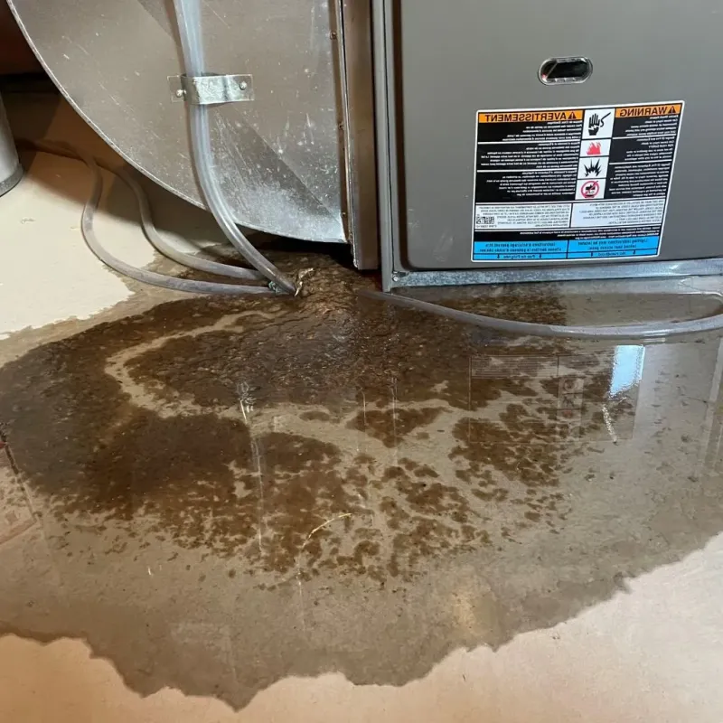 Pipe Burst and Leak Restoration in Olive Hill, KY