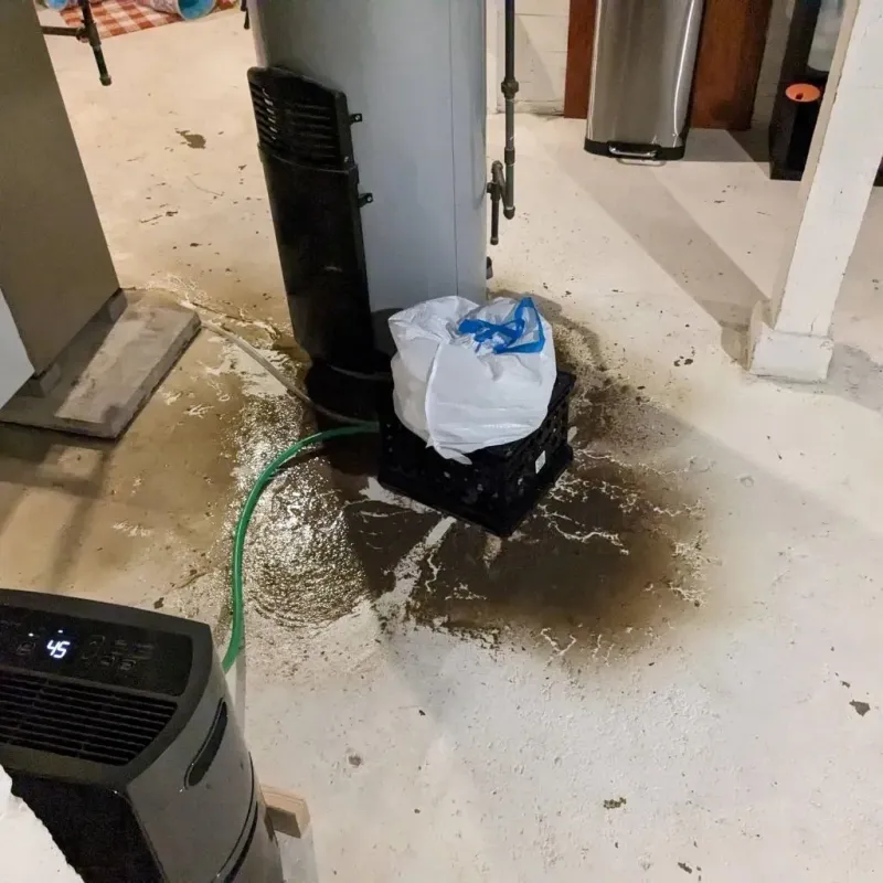 Sewage Backup Cleanup Service in Olive Hill, KY